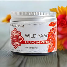 Four Elements 4E Wild Yam Organic Balancing Cream for Women - MoreHair City Beauty Products