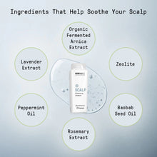 Framesi Morphosis Scalp Cleansing Shampoo - MHC Beauty Products