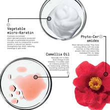 Morphosis Repair Plumping Mousse Leave-in - MHC Beauty Products